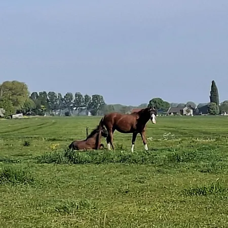 Genderens Buiten Genderen