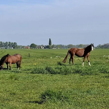 Holiday home Genderens Buiten