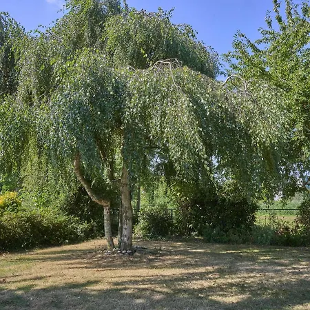 Ferienhaus Genderens Buiten Genderen